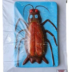 Cockroach Model on Board 17x 12" Superier Quality