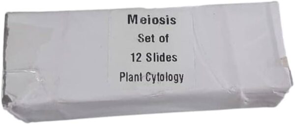 Meiosis Permanent Slide 1 Set (Pack Of 12Pc) Biology - Image 2