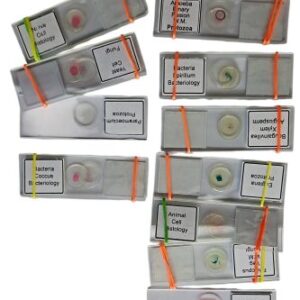 20PCS Biology Glass Prepared Microscope Slide Prepared Slide (Pack Of 20 Pc)