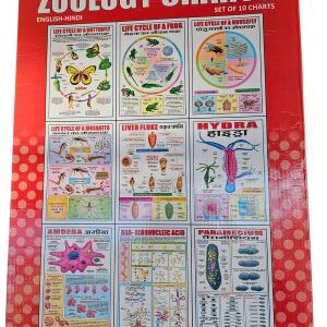Zoology Charts (Set Of 10) Size 30cmx42cm 3D Embossed