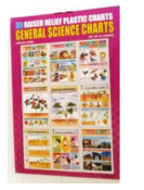 General Science Charts (Set Of 10) Size 30cmx42cm 3D Embossed