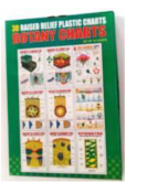 Botany Charts (Set Of 10) Size 30cmx42cm 3D Embossed