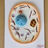 Animal Cell On Board 10 x 14" Superier Quality