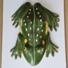 Frog Anatomy Model 16 x 12" Superier Quality