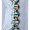 DNA On Board On Board 10 x 14" Superier Quality