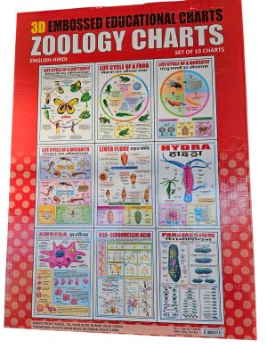 Zoology Charts (Set Of 10) Size 30cmx42cm 3D Embossed